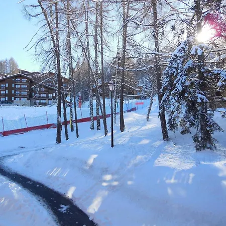 Divisible 4 Pers, Animaux Admis, Centre Station - Fr-1-353-90 * La Plagne-Tarentaise