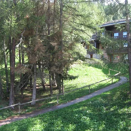 Apartment Divisible Pour 4 Pers, Vue Sur Sapins, Animaux Admis